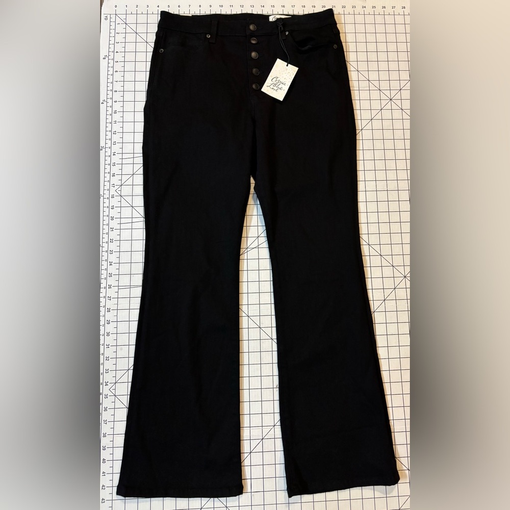NWT Cosmic Blue Love by Pistola Women’s Size 32 Carbon Copy Button Fly Jeans